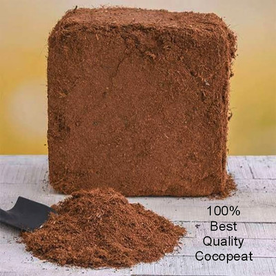 Shalinee creation Cocopeat Block 1kg Potting Mixture, Soil, Manure(1 kg, Cake)