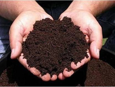 Ecogreen Premium Vermicompost Soil Manure 5KG Manure Manure(5 kg, Powder)