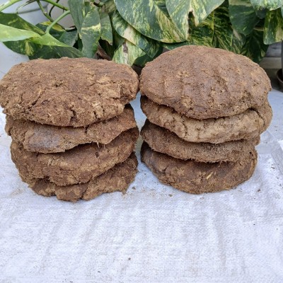 Plantsab Big Size Cow Dung Cake 3 Piece(1 Piece=300gm) Size-8 inch Round Kunde, Upale