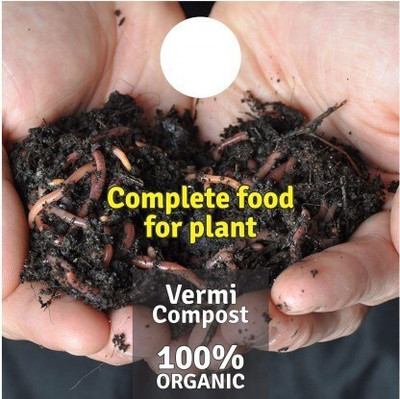 Ferimus Garden All Purpose Vermicompost Organic Fertilizer-Fertilizer,Manure(1kg,Powder) Soil(1 kg, Powder)
