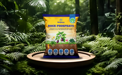 Nelgates Rock Phosphate Fertilizer for Soil Enrichment & Better Flowering Fertilizer(5 kg, Powder)