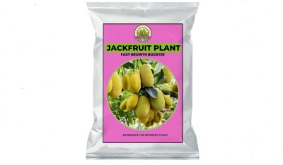 Dharshini Farm Product JACK FRUIT TREE FERTILIZER | Support Strong RootS & Fruit Production Manure(250 g, Granules)