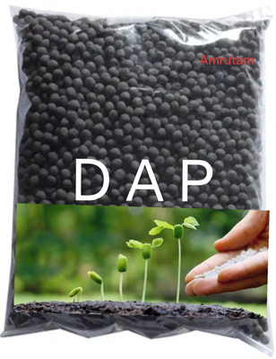 Amrutam DAP0 Fertilizer(500 g, Granules)