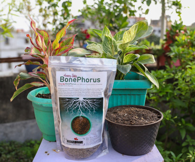 Happy Jiffy Garden Friends 4 in One BonePhorus- Mix Manure of Bone Dust, Neem Cake, Perlite and Trichoderma Fertilizer(0.25 kg, Granules)
