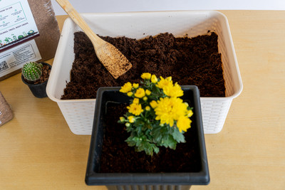 grownature COCOPEAT POWDER WET 1KG Soil(1 kg, Powder)