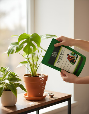 Eco organics Epsom Salt for Plants |Magnesium Sulphate for Indoor & Outdoor Plants| Fertilizer, Potting Mixture(900 g, Granules)