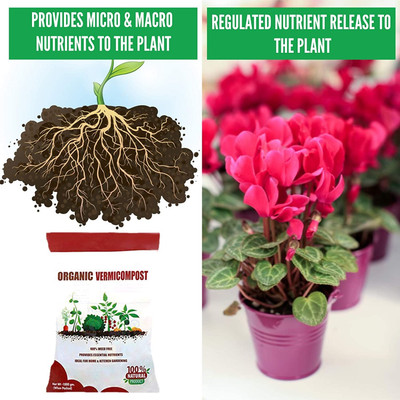 TRADITIONAL TRENDZZ ® XXL-049 - Upjau Vermi Compost for Home Garden - 5Kgs-ay-428 Fertilizer, Manure(5 kg, Powder)