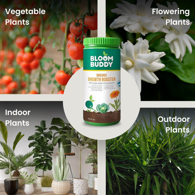 Bloom Buddy BloomBuddy Organic Growth Booster Plants Potting Mixture, Manure, Soil(1 kg, Granules)
