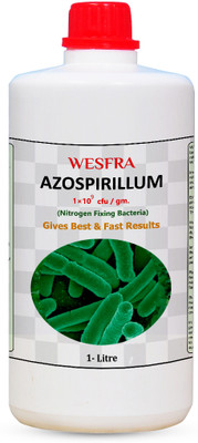 WESFRA Azospirillum nitrogen fixing Fertilizer(1 L, Liquid)