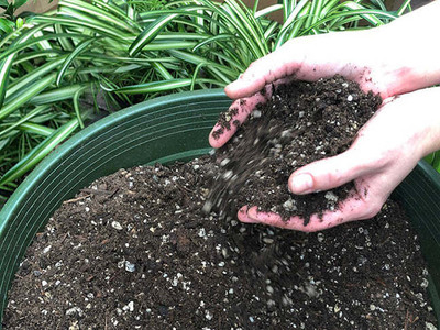 LoveGreen Potting Mixure Potting Mixture(5 kg, Powder)