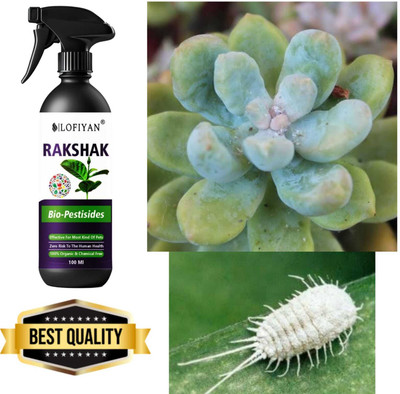 Lofiyan Mealy Magic Plant Protection Spray Fertilizer(100 ml, Liquid) deal from flipkart Lofiyan Mealy Magic Plant Protection Spray Fertilizer(100 ml, Liquid) deal from flipkart
