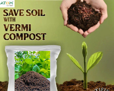 ATOM Agrotech Vermicompost 5Kg Soil Manure/Fertilizer ( Pack of 5kg ) Manure(5 kg, Powder)