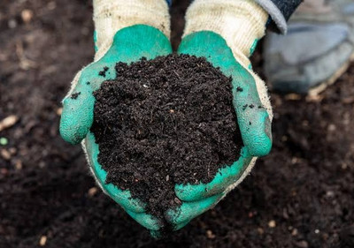 Varmicompost organic fertilizer, eco-friendly, reusable cotton bag packed call 9521042448 Potting Mixture, Soil, Fertilizer, Manure(10 kg, Powder)