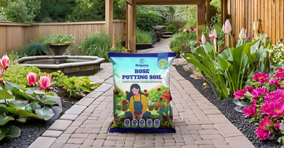 Nelgates Premium Rose Potting Soil Blend Soil(5 kg, Powder)