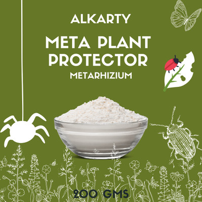 Alkarty ORGANIC META PLANT PROTECTOR |BIO FERTILIZER| METARHIZIUM ANISOPLIAE Fertilizer(0.2 kg, Powder)
