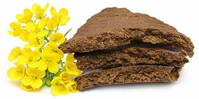 HOMELORE MUSTARD CAKE, SARSO KHALI GOOD FOR SOIL GROWTH 2 KG ORGANIC FERTILIZER Fertilizer, Manure, Husk, Potting Mixture(2 kg, Cake)