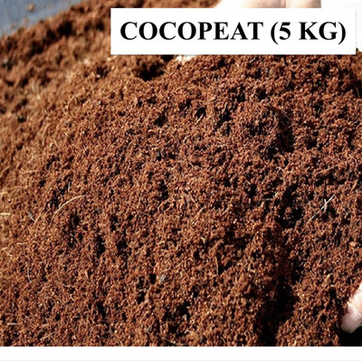 Fynity 5 KG cocopeat Potting Mixture(5 kg, Powder)
