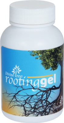 Divine Tree Rooting Gel for All Plants Cuttings | Root Stimulator for Stronger Roots Potting Mixture(0.1 kg, Liquid)