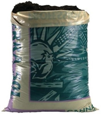 DIOART COW DUNG MANURE FOR PLANT SEEDS AND SAPLING-361 Manure(10 kg, Powder)