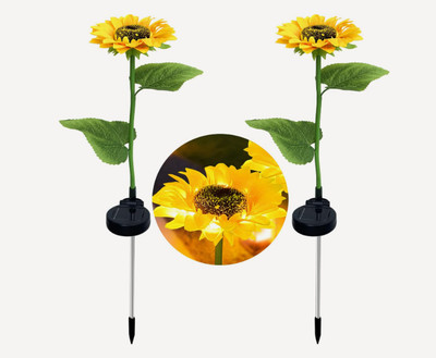HASRU Solar Light Set(Wall Mounted Pack of 1)