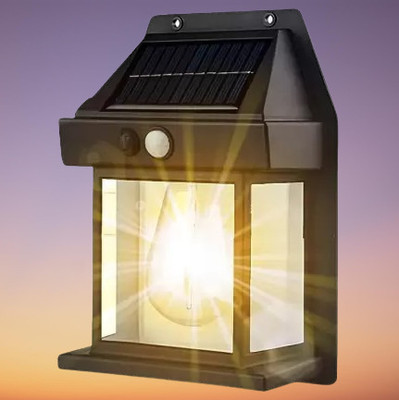 HASRU Solar Light Set(Wall Mounted Pack of 1)
