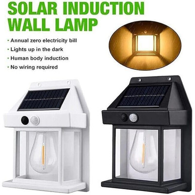 GARDINO Solar Interaction Wall Lamp Outdoor Solar Light For Home,Garden Solar Light Set(Wall Mounted Pack of 1)