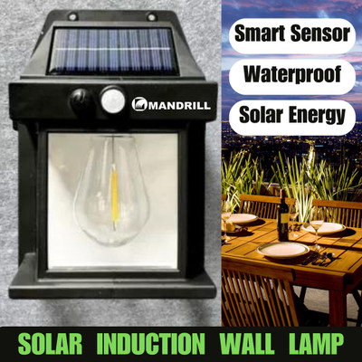 Mandrill Solar Wall Bulb Lights Outdoor 3 Modes & Motion Sensor Waterproof Clear Panel Solar Light Set(Wall Mounted Pack of 1)