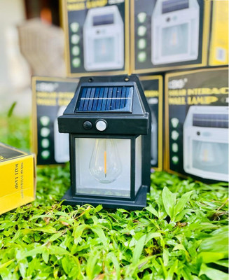 Maashakti Solar Light Set(Wall Mounted Pack of 1)