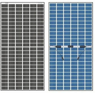 LOOM SOLAR 600W Bifacial Solar Panel(Pack of 2)