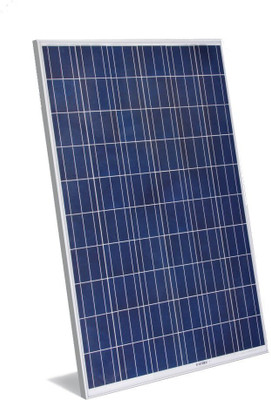 Goldi Green 40Watt Solar Panel(Pack of 1)