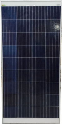 SOLAR UNIVERSE INDIA 150W Poly Solar Panel(Pack of 1)