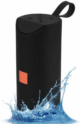 SURYAKUSH TG-113 10 W Bluetooth Speaker
