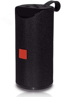 ASTOUND TG-113 10W 2.0 Channel Wireless Bluetooth Speaker 10 W Bluetooth Home Audio Speaker(Black, Stereo Channel)