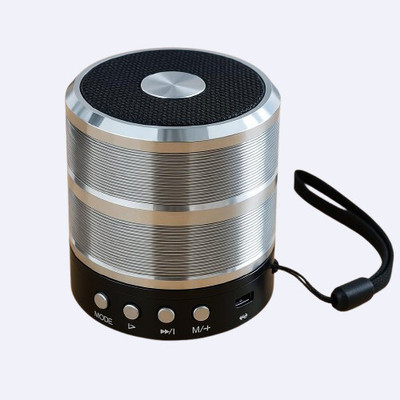 TARECON WS-887 Wireless Mini Speaker | Bluetooth Music System | USB/AUX/FM/SD Slot 5 W Bluetooth Speaker(Silver, 5.1 Channel)
