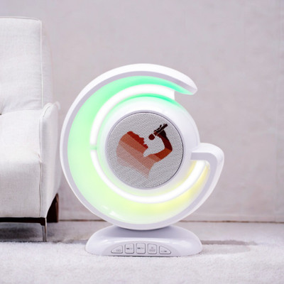 roxfire YS-110 Portable Karaoke Machine: Wireless Bluetooth Speakers, Dual Mic, Lighting with Google, Alexa & Siri Assistant Smart Speaker(Multicolor)