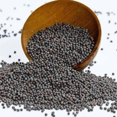 NUTRIFUTURE Black Mustard Seeds (Rai for Home Use)(100 g)