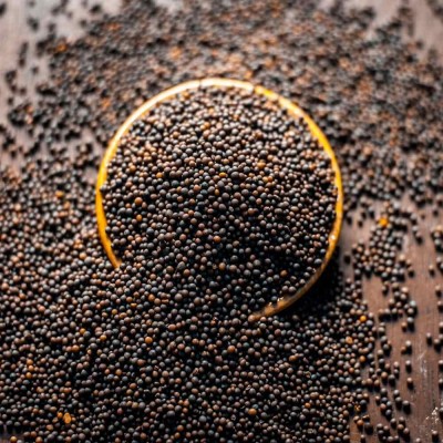 AYSP Rai Rye Brown Mustard Seeds, Rai Mustard Seeds RYE(200 g)