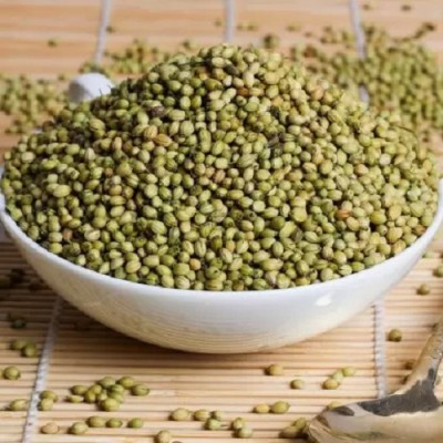 Bharvi Dhaniya Seeds Sabut Dhania Hara Dhana Whole(3 kg)