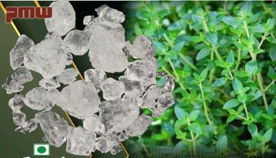 PMW Thymol Crystals Ajwain Ki Phool Joni Guti Yamani Ajamo Vamu Puvvu Loose Packed(250 g)
