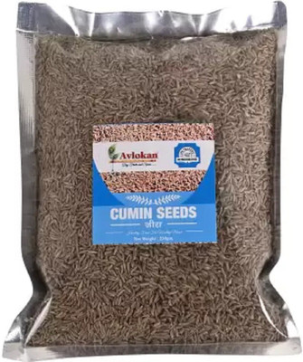 Avlokan Fresh & Best Quality Cumin Seeds (Jeera)(250)
