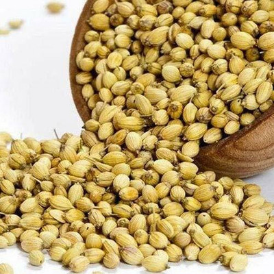 DROXTY CORIANDER Seed(25 per packet)