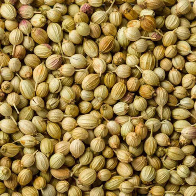 Vedarth Organic Whole Coriander Seeds || Sabut Dhania(250 g)