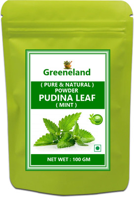 GREENELAND -ORG- PUDINA POWDER / ( Mint Leaves Powder ) 100 GM(100 g)