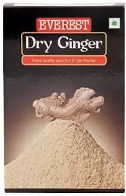 EVEREST Dry Ginger Masala Pack of 1(100 g)