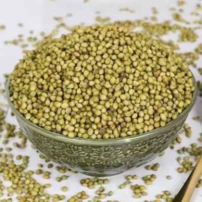 Bharvi Dhaniya Seeds | Sabut Dhania | Hara Dhana(100 g)