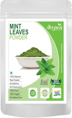 DHYANA EXIM Mint Leaves | Pudina Powder 500gm to keep body refreshing(500 g)