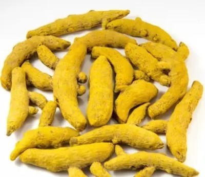 Bharvi Turmeric Sticks | Haldi Gatiya | Sabut Haldi | Whole Haldi(2 kg)