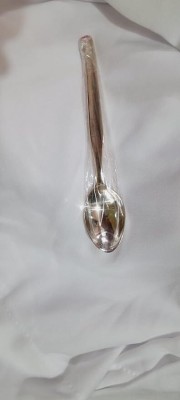 Manojit MANOJIT JEWELLERY & METALS Designer Sterling Silver Spoon for Gift Stainless Steel Table Spoon(Pack of 1)