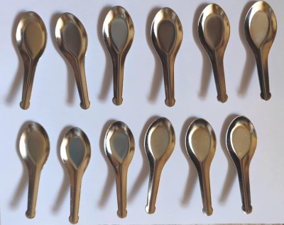 Stainless Steel Masala Spices Spoons, Set of 12 Disposable Stainless Steel Tea Spoon, Table Spoon, Serving Spoon Set(Pack of 12)