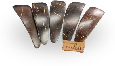 Coco Land Coconut Shell Spoon Glossy Polished (Pack of 5) Natural Spoon Disposable Wooden Serving Spoon Set(Pack of 5)